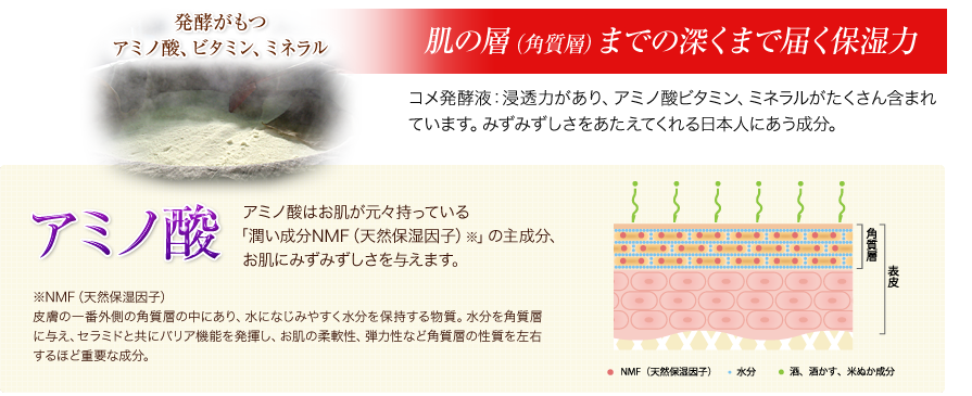 発酵がもつアミノ酸、ビタミン、ミネラル　肌の層（角質層）までの深くまで届く保湿力　コメ発酵液：浸透力があり、アミノ酸、ビタミン、ミネラルがたくさん含まれています。みずみずしさをあたえてくれる日本人にあう成分。「アミノ酸」アミノ酸はお肌が元々もっている「潤い成分NMF（天然保湿因子）」の主成分、お肌にみずみずしさを与えます。　※NMF（天然保湿因子）皮膚の一番外側の角質層の中にあり、水になじみやすく水分を保持する物質。水分を角質層に与え、セラミドと共にバリア機能を発揮し、お肌の柔軟性、弾力性など角質層の性質を左右するほど重要な成分。