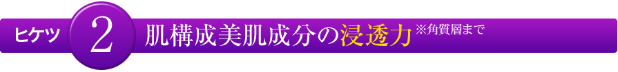 ヒケツ2　肌構成美肌成分の浸透力※角質層まで