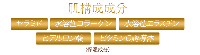肌構成成分　セラミド・水溶性コラーゲン・水溶性エラスチン、ヒアルロン酸、ビタミンC誘導体（保湿成分）
